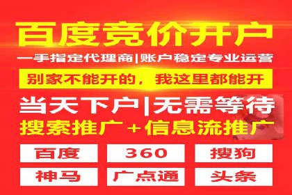 百度竞价广告投放的ROI优化：经典案例分享